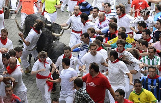 مراسم خطرناک گاوبازی در اسپانیا +عکس