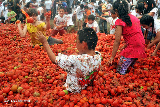 جشن سالانه گوجه‌فرنگی در کلمبیا +عکس