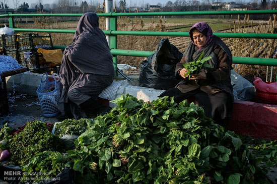 عکس: جمعه بازار محلی جویبار استان مازندران